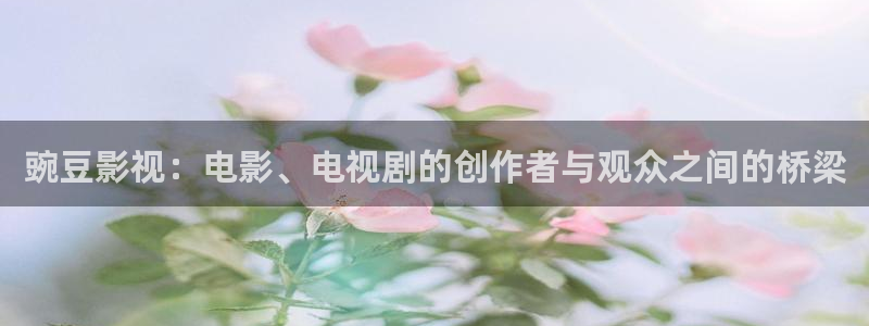 窝窝电影免费看