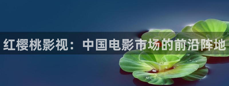 窝窝影院免费观看高清电视剧下载