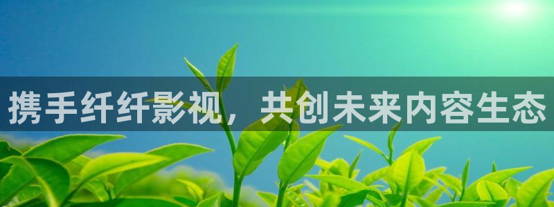 窝窝电影完整版免费